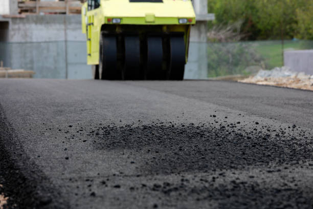 Best Residential Paver Driveway  in Hillsboro Beach, FL