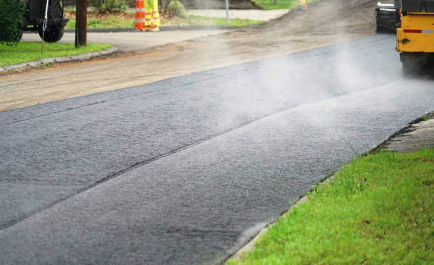 Best Custom Driveway Pavers  in Hillsboro Beach, FL