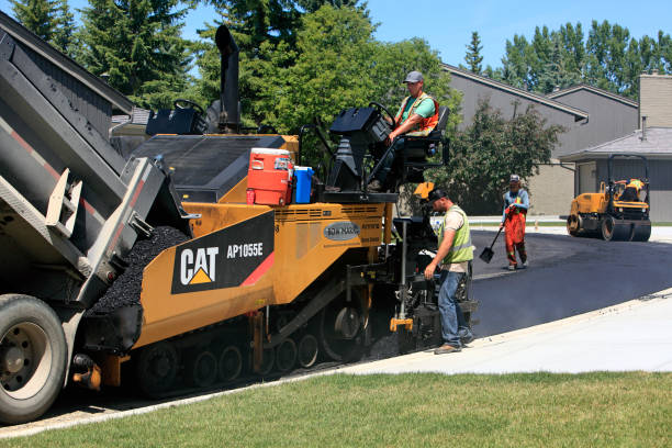 Best Decorative Driveway Pavers  in Hillsboro Beach, FL
